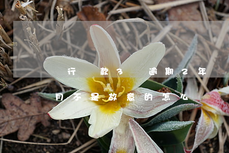 銀行貸款3萬逾期2年(銀行貸款逾期了三個月,不是故意的怎么辦)