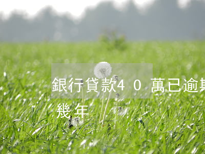 銀行貸款40萬已逾期(欠銀行貸款30萬判幾年)