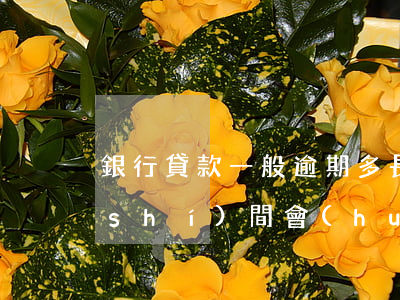 銀行貸款一般逾期多長(zhǎng)時(shí)間會(huì)起訴-銀行貸款一般逾期多長(zhǎng)時(shí)間會(huì)起訴呢