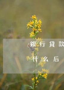 銀行貸款一萬逾期半年(貸款一萬逾期一年有什么后果)