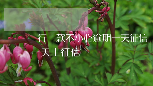 銀行貸款不小心逾期一天征信(銀行貸款逾期一天上征信)
