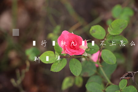 銀行貸款九萬還不上怎么辦(欠銀行貸款9萬判幾年)