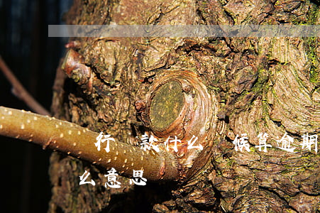 銀行貸款什么時候算逾期(銀行貸款逾期是什么意思)