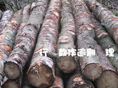 銀行貸款作逾期處理(銀行貸款逾期還款)