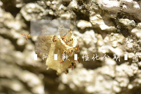 銀行貸款個性化分期 銀行個性化分期政策