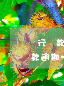 銀行貸款出現(xiàn)一次逾期(銀行貸款逾期一天嚴(yán)重嗎)