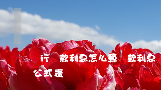 銀行貸款利息怎么算(貸款利息計(jì)算公式表)