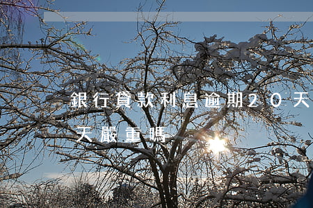銀行貸款利息逾期20天(銀行貸款逾期十幾天嚴重嗎)