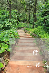 銀行貸款利率逾期后上浮(征信逾期房貸利率上浮怎么解決)