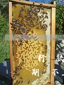 銀行貸款到期還不上該如何處理(銀行貸款到期還不上該如何處理擔(dān)保人)