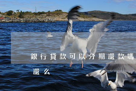 銀行貸款可以分期還款嗎（銀行貸款可以分期還么）