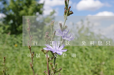銀行貸款可以減免利息只還本金嗎(銀行貸款可以有免息期)