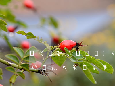 銀行貸款呆賬還會(huì)被起訴嗎（欠銀行貸款成呆賬后果）