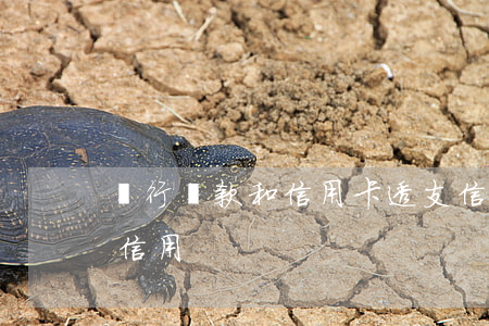 銀行貸款和信用卡透支(信用卡透支屬于什么信用)