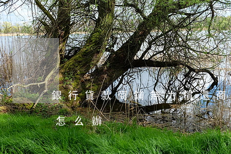 銀行貸款商鋪無力償還(商鋪銀行貸款還不了怎么辦)