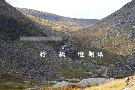 銀行貸款寫逾期保證書