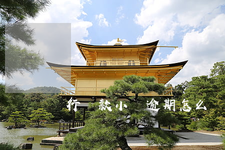 銀行貸款小額逾期怎么辦(小貸全部逾期了)