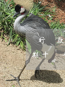 銀行貸款幾十萬逾期未還被起訴 銀行貸款逾期十幾年現(xiàn)在起訴有用嗎