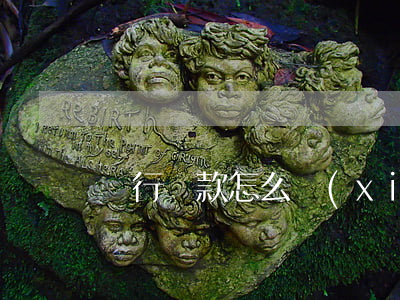 銀行貸款怎么協(xié)商停息