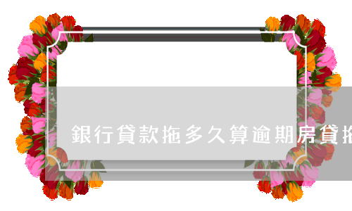 銀行貸款拖多久算逾期(房貸拖延多久算逾期)