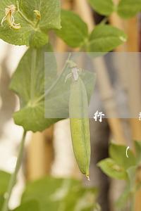 銀行貸款掛賬停息的規(guī)定(停息掛賬對(duì)已經(jīng)產(chǎn)生的貸款有什么影響)