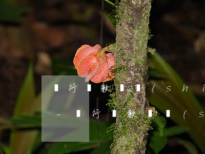 銀行貸款暫時(shí)還不起要不要坐牢-銀行貸款暫時(shí)還不起要不要坐牢