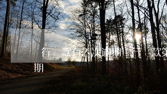 銀行貸款有2次逾期(銀行貸款第二天還算逾期嗎)