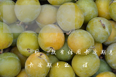 銀行貸款有信用卡逾期怎么辦（上海銀行信用卡逾期怎么處理）