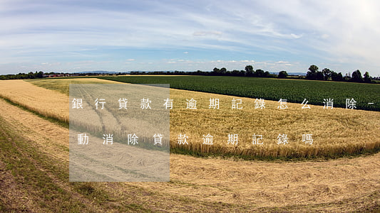 銀行貸款有逾期記錄怎么消除-銀行可以主動消除貸款逾期記錄嗎