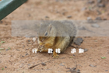 銀行貸款核銷逾期時間(銀行貸款核銷逾期時間)