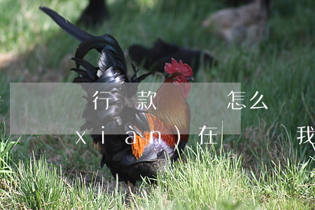 銀行貸款沒錢還怎么辦(銀行貸款到期了現(xiàn)在沒錢還我該怎么辦)