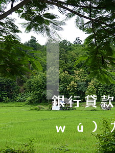 銀行貸款無(wú)力償還上訴狀(我因無(wú)力償還銀行貸款,被起訴,會(huì)不會(huì)坐牢)