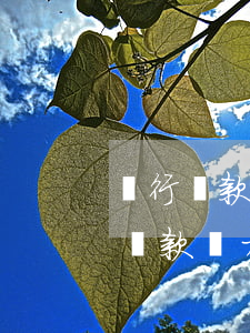 銀行貸款無力償還怎么辦我該怎么辦-銀行貸款無力償還怎么辦我該怎么辦呢