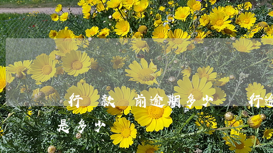 銀行貸款當前逾期多少嗎(銀行逾期貸款利率是多少)