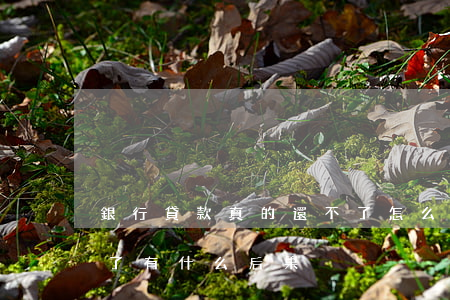 銀行貸款真的還不了怎么辦-銀行貸款還不了有什么后果