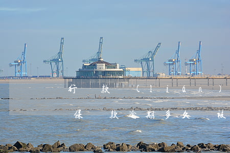銀行貸款聯(lián)保人逾期兩年(銀行擔保貸款逾期多久會被起訴)