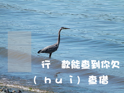 銀行貸款能查到你欠螞蟻借唄嗎(銀行貸款會(huì)查借唄)