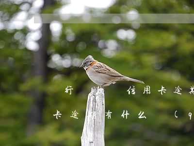 銀行貸款與信用卡逾期(銀行貸款逾期和信用卡逾期有什么區(qū)別)