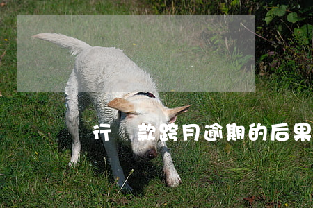 銀行貸款跨月逾期的后果(貸款逾期跨年)