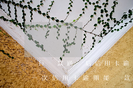 銀行貸款通過后信用卡逾期(發(fā)生過一次信用卡逾期,能貸款嗎)