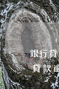 銀行貸款逾期10萬無力償還怎么辦-銀行貸款逾期10萬無力償還怎么辦呢