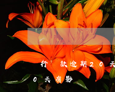 銀行貸款逾期20天會怎么樣（房貸逾期了20天有影響嗎）
