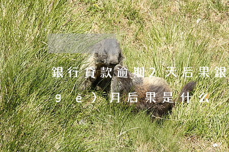 銀行貸款逾期2天后果(銀行房貸逾期兩個(gè)月后果是什么)
