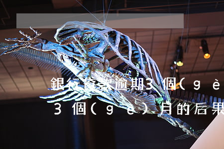 銀行貸款逾期3個(gè)月后果(貸款逾期3個(gè)月的后果)