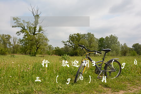 銀行貸款逾期3個(gè)月未還(貸款逾期三個(gè)月)