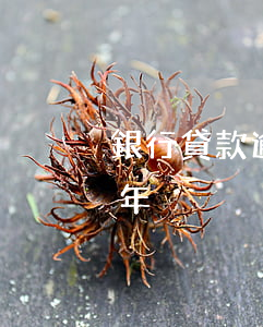 銀行貸款逾期57個月(銀行貸款七萬逾期兩年)