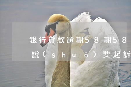銀行貸款逾期58期(58貸款逾期了兩天就說(shuō)要起訴是真的嗎)