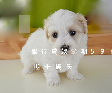 銀行貸款逾期59個(gè)月(銀行貸款逾期十幾天)