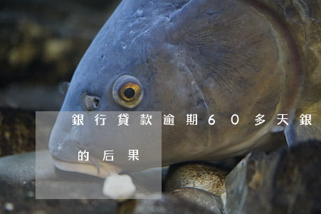 銀行貸款逾期60多天(銀行貸款逾期六個月的后果)