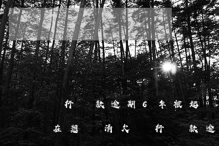 銀行貸款逾期6年,被起訴了,現(xiàn)在想還清（欠銀行貸款逾期一年被起訴）